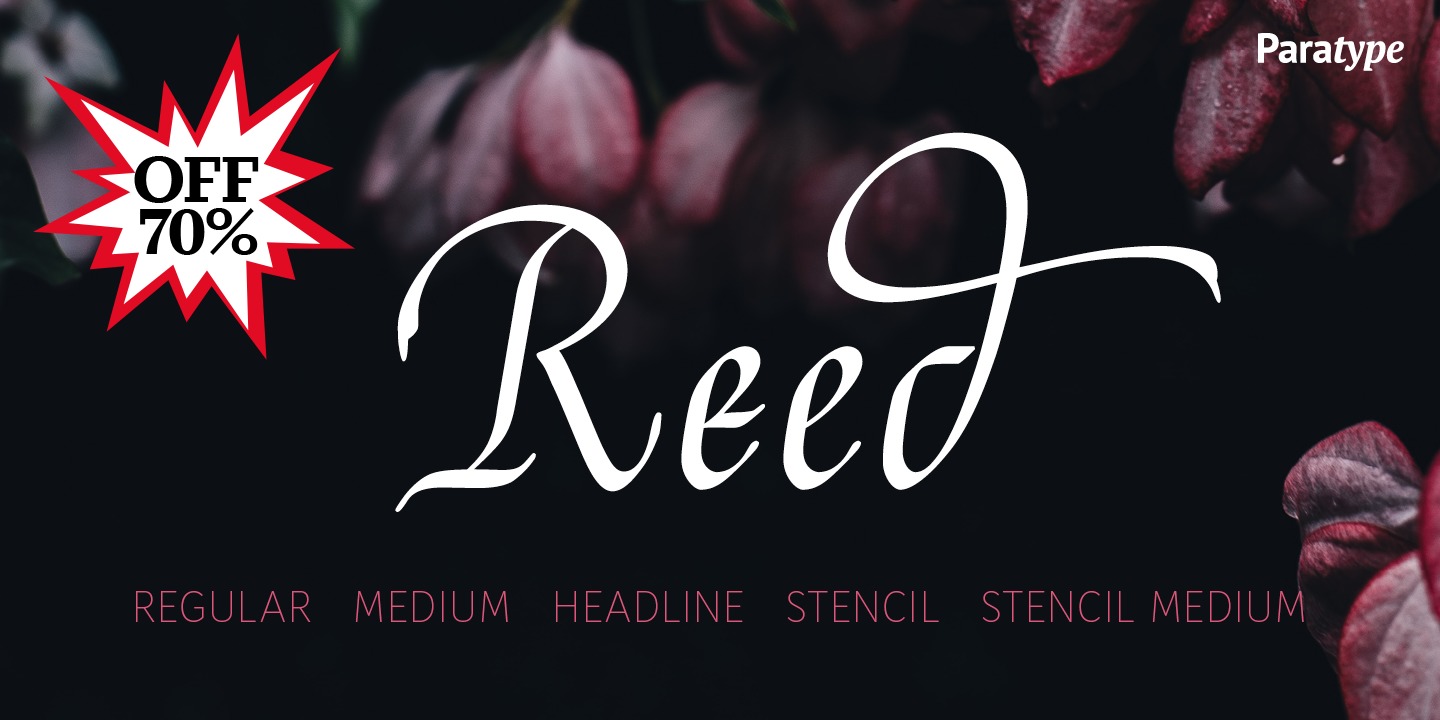 Przykład czcionki Reed Regular